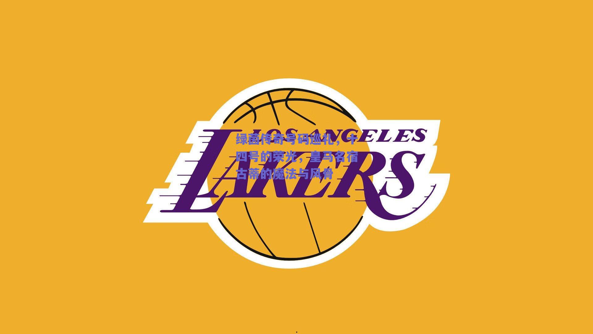 绿茵传奇号码巡礼,十四号的荣光,皇马名宿古蒂的魔法与风骨